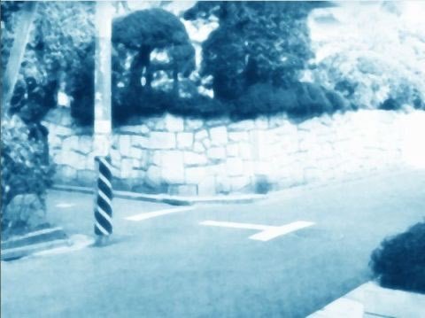 Tohno Shiki's usual crossing on the way to school